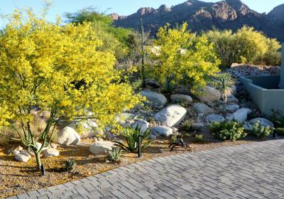 Tucson Patio, Pavers, and Walls- Landscape Architects- All Terrain Landscape Creations