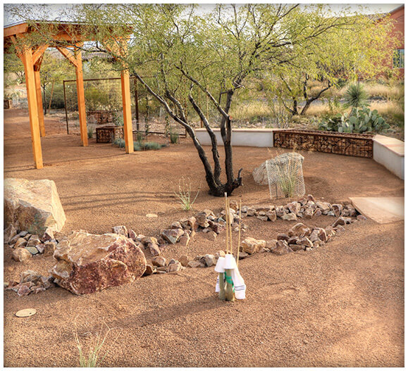 Tucson Landscape Maintenance & Cleanup