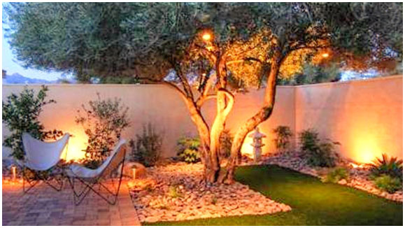 Tucson Landscape Lighting