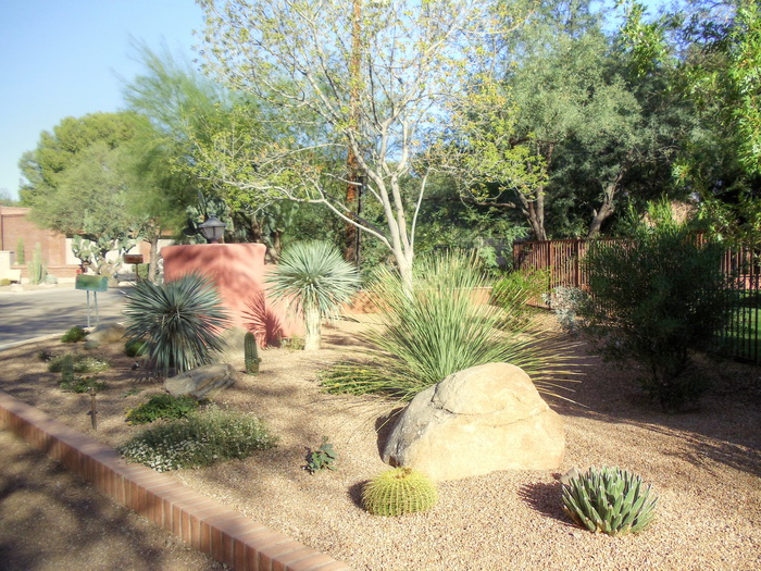 Tucson Landscape Portfolio- A Collection of Our Projects- All Terrain ...